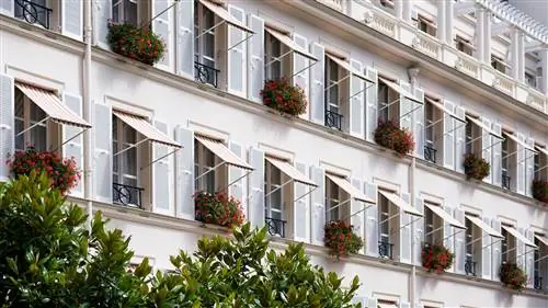 (сюрреалистичные) советы по отдыху в отеле Le Bristol в Париже