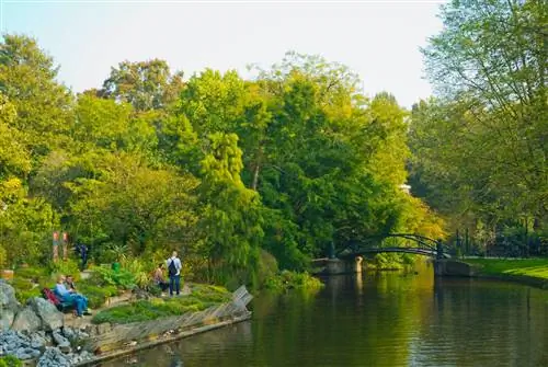 Ботанический сад Hortus Botanicus в Амстердаме