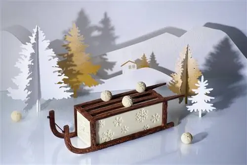 Буш в форме саней.
