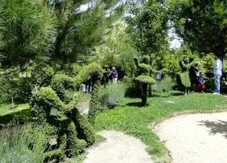 Зачарованный лес в Мадриде