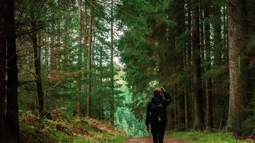 Море или горы? Для тех, кто не сомневается, это лучшие сандалии для походов этим летом