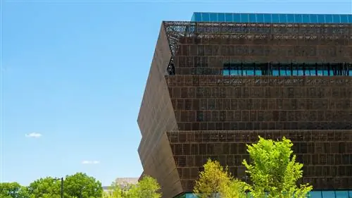 Мир Дэвида Аджайе