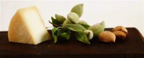 козий сыр Кастильбланко