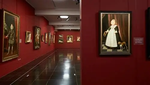 Коллекция Нинса в музее Са Басса Бланка.