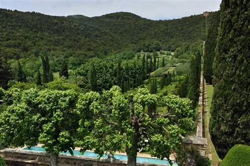 Леса, окружающие деревню