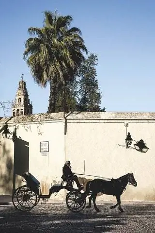 Calle Caballerizas Reales Córdoba