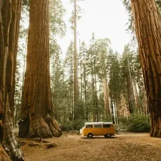 Национальный парк Секвойя Калифорния