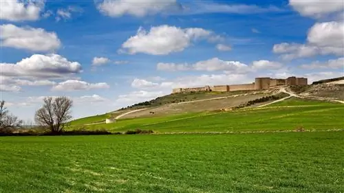 Уруэнья: единственный город в Испании, где больше книжных магазинов, чем баров