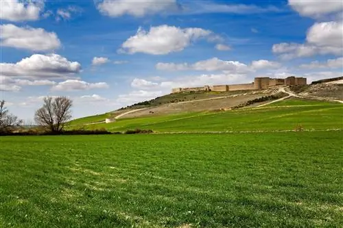 Уруэнья - единственный город в Испании, где книжных магазинов больше, чем баров.