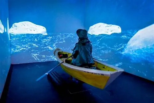 Захватывающий опыт Дори в Центре интерпретации истории Бакальяу.