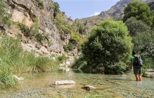 Иди сюда, успокойся