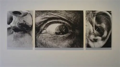 «Фотограф и художник», портрет культовой дружбы между Уитакером и Дали