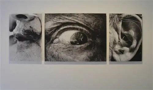 Монтаж выставки «Сальвадор Дали. Роберт Уитакер. 1967-1972» в Театре-музее Дали.