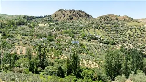 Моначил, город вашей мечты между высокими горами и побережьем Коста-Тропикаль