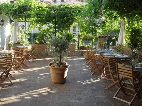 Столовая Диего