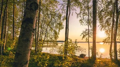 Озеро Сумманен Саариярви, Финляндия.