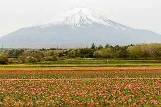 А также в Японии