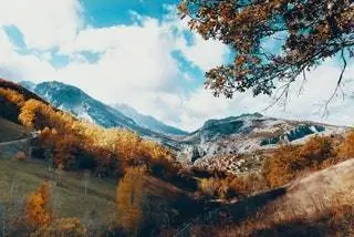 сотры