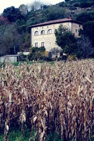 Также в Лабре находится сыроварня La Torre, которая производит сыры кустарным способом из молока, полученного из…