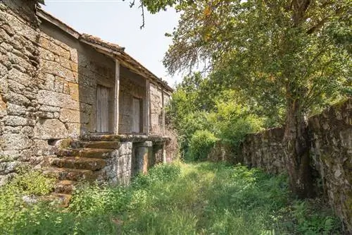 Couto Mixto история о том, что было