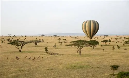 Сафари на воздушном шаре - одно из развлечений отеля Meli Serengeti Lodge.
