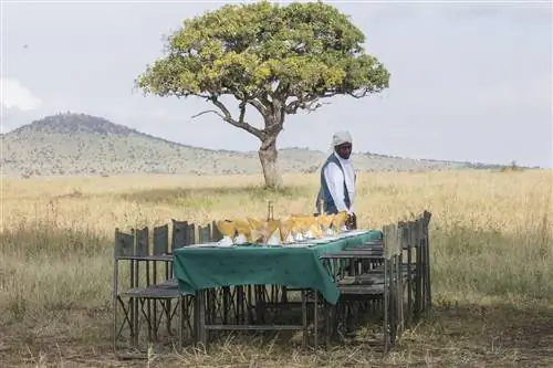 Пикник посреди африканской саванны, организованный Meli Serengeti Lodge
