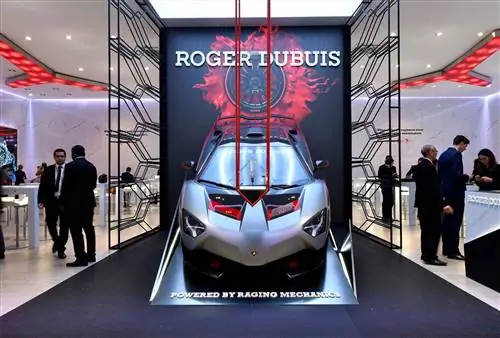 Роже Дюбюи стоит на sihh