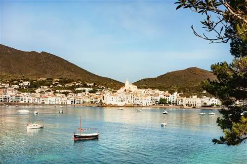 Фрегула Сарда в Джардино дель Кармен Валенсия.