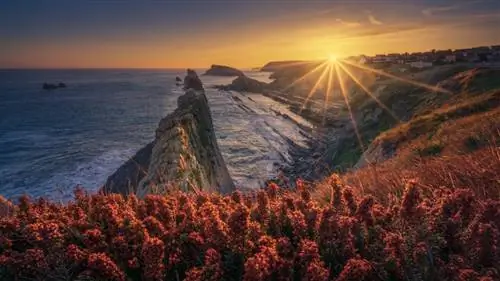 Виды из дворца Альгамбра.