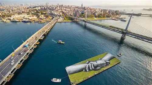 Королева Елизавета II посещает мэрию Сиднея с Эмметом Макдермоттом в мае 1970 года.