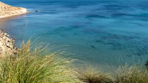 2HFXDYM Ориуэла Коста Испания