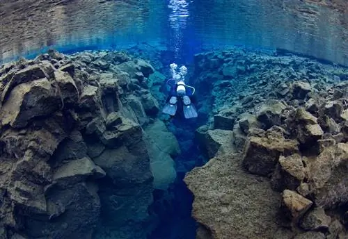 Дайвинг в Сильфре.