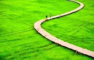 Поездка в «страну тысячи улыбок» с ее горами на севере, рисовыми плантациями в низинах и…