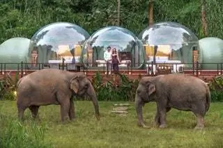 Anantara Golden Triangle Elephant Camp Resort