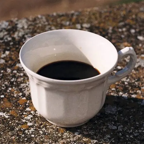 Кофе на солнце