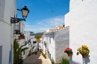 Фрихилиана