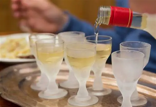 Официант подает аквавит в маленьких стаканчиках с замороженными тюльпанами.