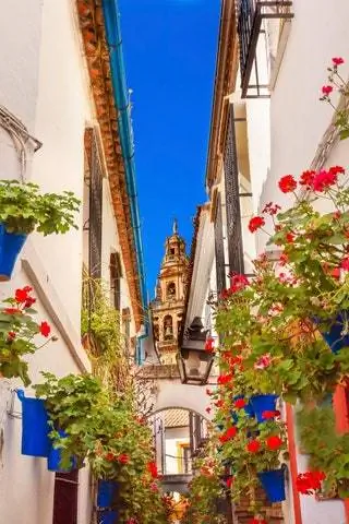 Calleja de las Flores в Кордове