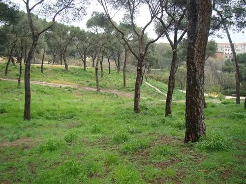 Деэса де ла Вилья Мадрид