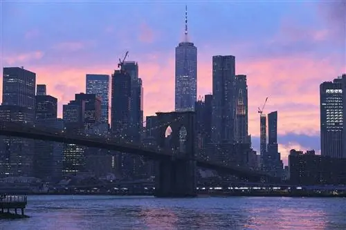 Хавьер Рей в Нью-Йорке