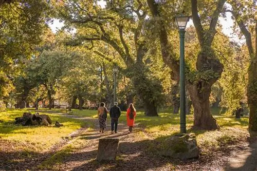 Сарела и Карбалейра-де-Сан-Лоуренсо.