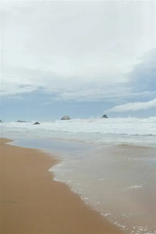 На побережье города Сан-Агустинильо в штате Оахака есть такие пляжи.