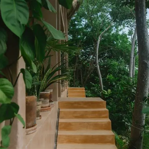 Вход по лестнице в апартаменты Mount Uzulu