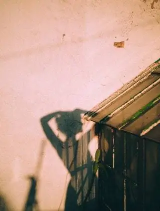 «Эта фотография была сделана в доме моей подруги Марии Хессе в Севилье одним летним днем». Текст книги говорит о любви…