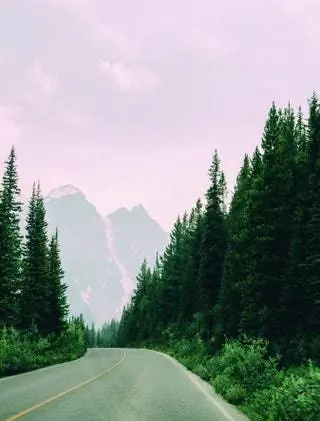 В книге Пилар сравнивает ночную поездку на автобусе с процессом приготовления пищи.