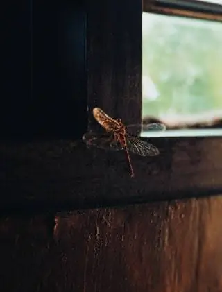 «Вечерний свет проникал на палубу, и в тот момент, когда он улегся, я понял, что хрупкость этого момента продлится…