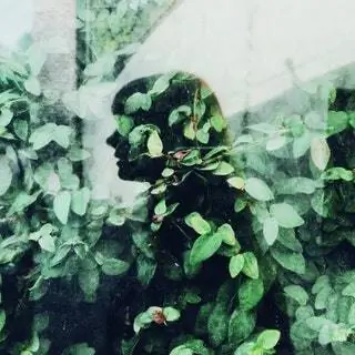 Ботанический сад Мадрида