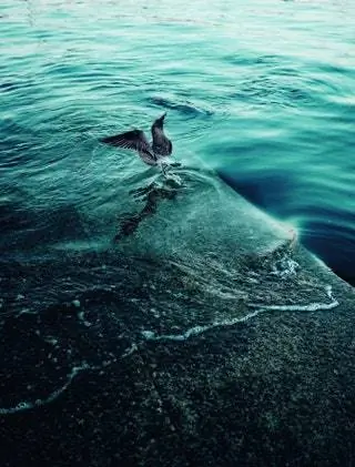 Мыс Коррубедо Галисия