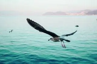 "Галичина - земля семьи моей матери, это мой храм, когда мне нужно отключиться от мира и воссоединиться с собой"…