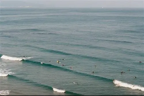Люди занимаются серфингом в La Côte des Basques Biarritz